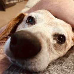 AllenInKs's Chat & Dating Profile